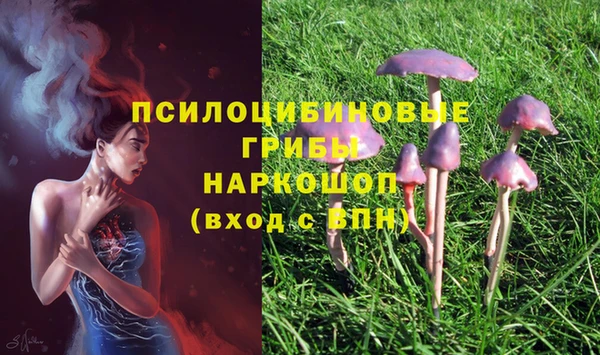первитин Алексин