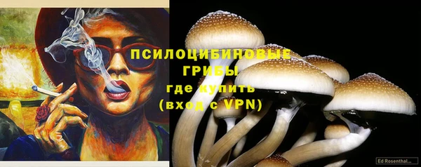 бошки Алзамай