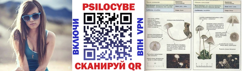 сайты даркнета какой сайт  Осинники  Псилоцибиновые грибы Psilocybe 