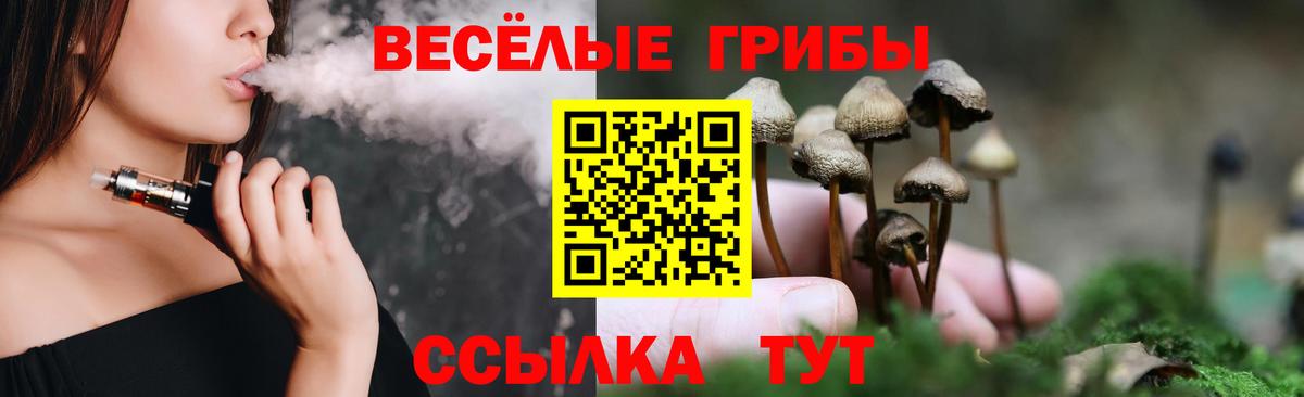 Псилоцибиновые грибы ЛСД Осинники